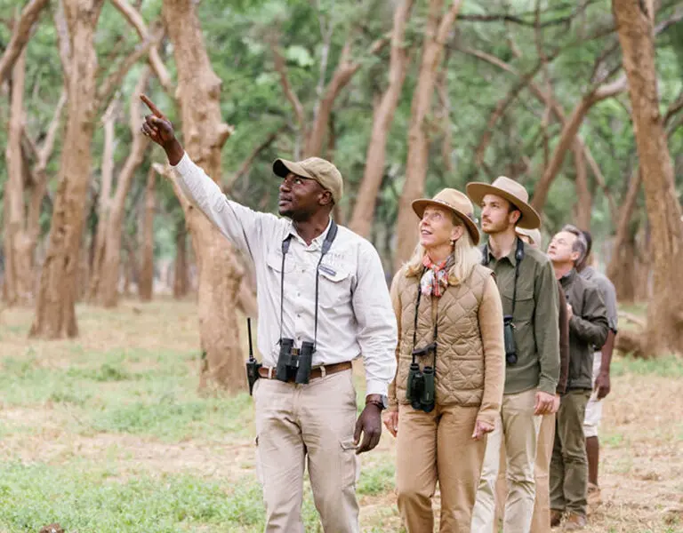 walking safaris.