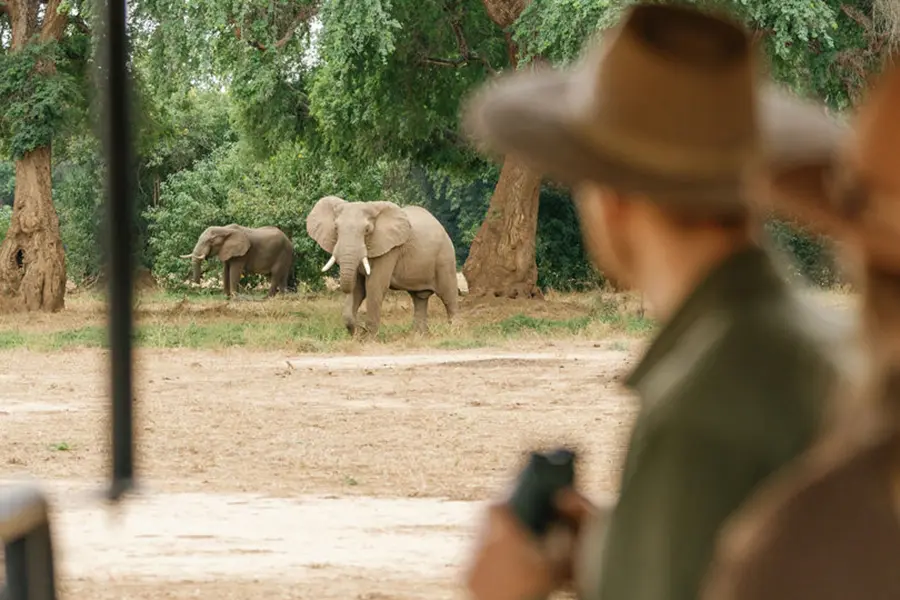Game drives in Lower Zambezi National Park. 
