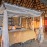 Sala Safari.