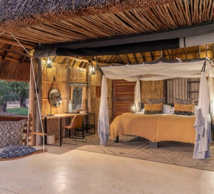 Interior de la sala Safari.
