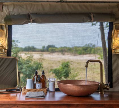 Cuarto de baño con vistas a la naturaleza.