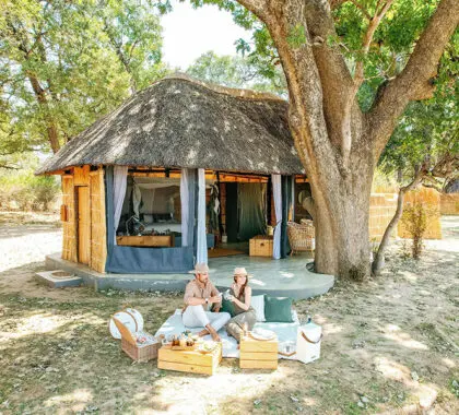 Enjoy a private picnic setup in front of your luxury tent, enjoying the view and complete privacy. 