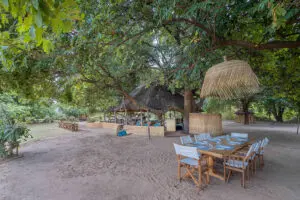 Main camp is shaded by large river trees. 
