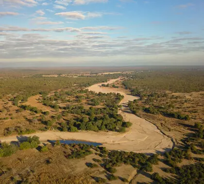 Aerial view of the seasonal riverbed. 