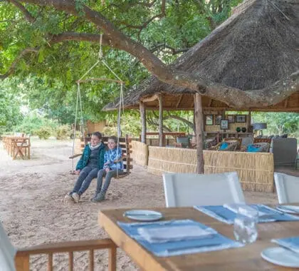 El campamento principal está a la sombra de grandes árboles de río. 