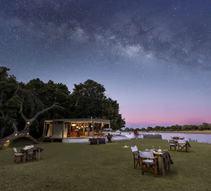 Dinner setups on the lawn.