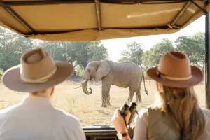 Game drives in South Luangwa.