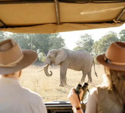 Game drives in South Luangwa.