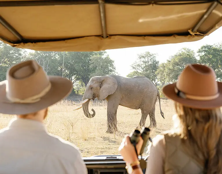 Game drives in South Luangwa.