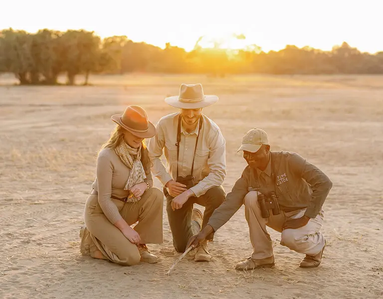Walking safaris.