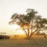 Sundowners on your afternoon game drive.