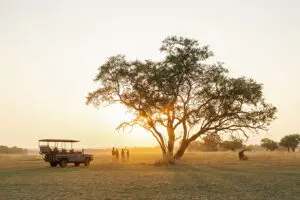 Sundowners on your afternoon game drive.