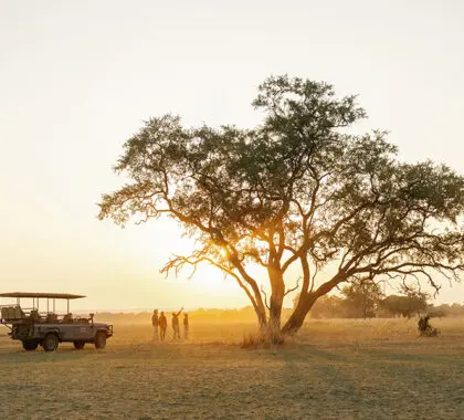 Sundowners on your afternoon game drive.