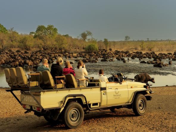 Watch wildlife getting refreshed at a near by waterhole.