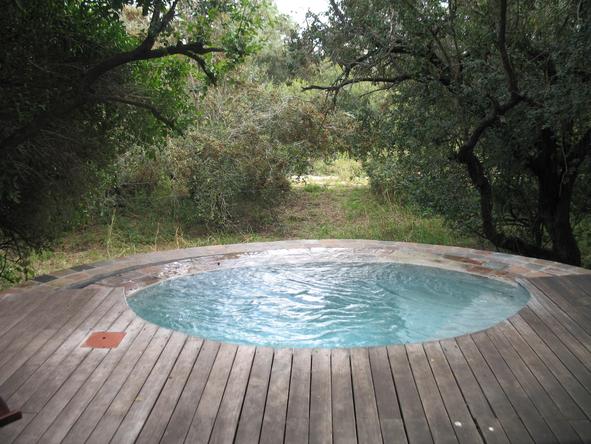 Take a dip in your private pool with views of the surrounding wilderness.
