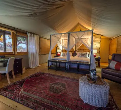 Netted luxury bedroom suite.