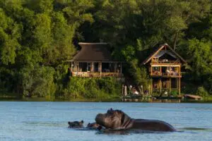 Vista del Tongabezi Lodge desde el río Chobe.