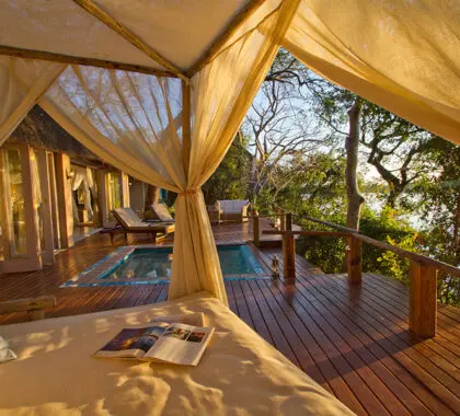 Enjoy a private swim in the pool at Tongabezi Lodge.