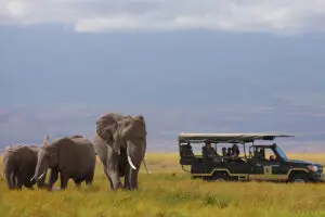 Exploring Amboseli | Elewana Tortilis Camp