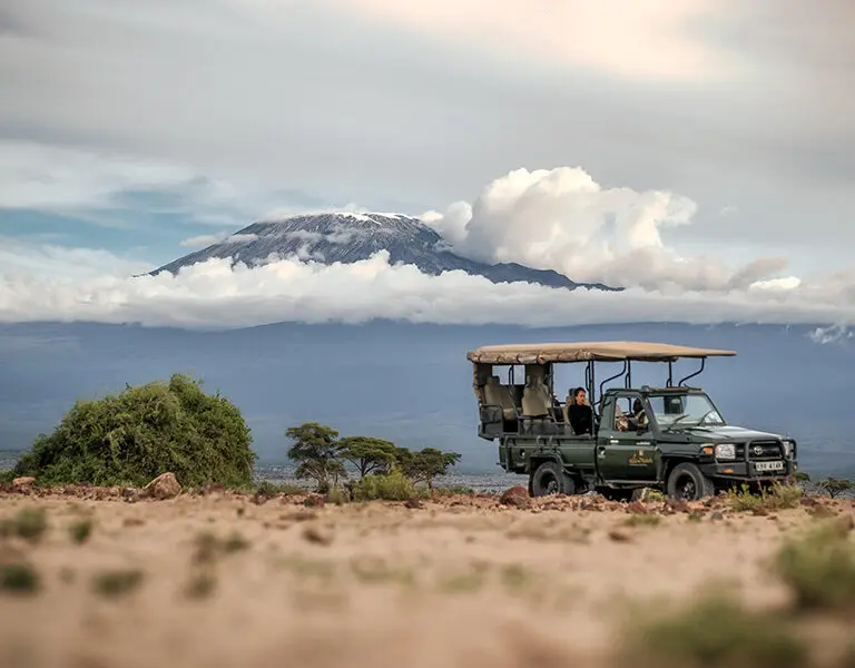 Breathtaking views of Mount Kilimanjaro.