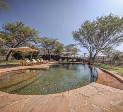 Las tiendas familiares y las tiendas safari tienen cada una una piscina separada. 