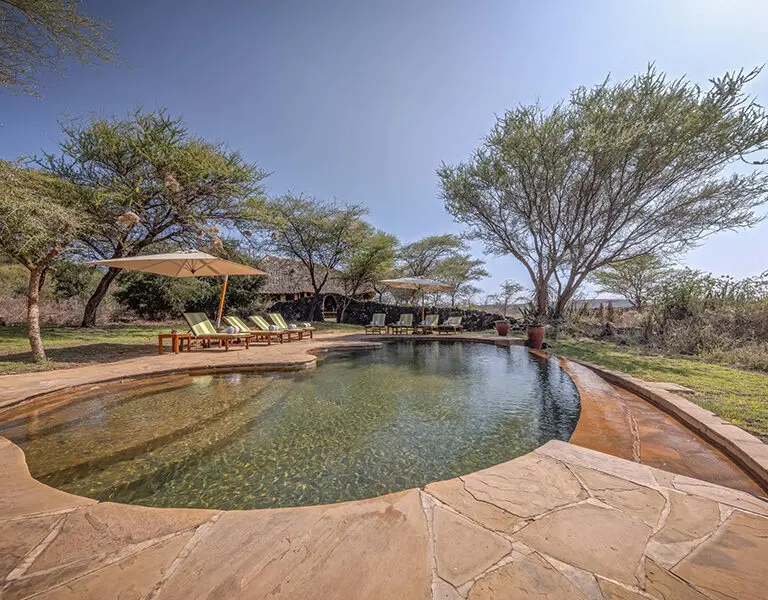 The Family Tents and the Safari Tents each have a separate swimming pool. 