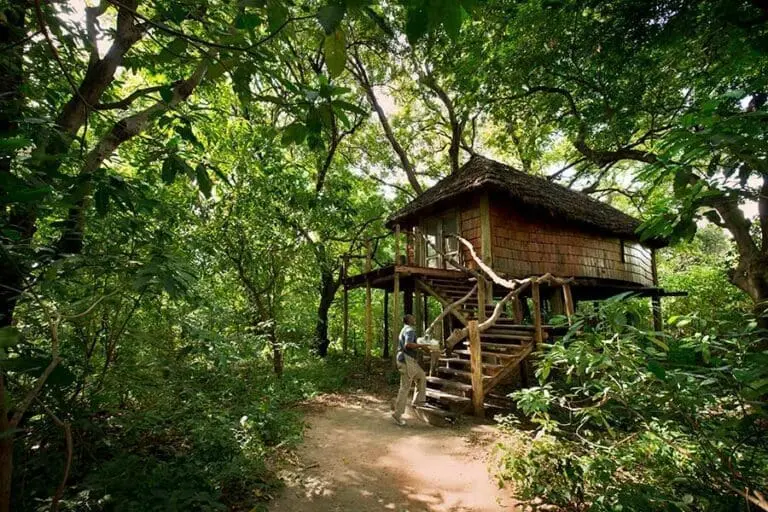 Treehouse suite exterior at andBeyond Lake Manyara Tree Lodge.