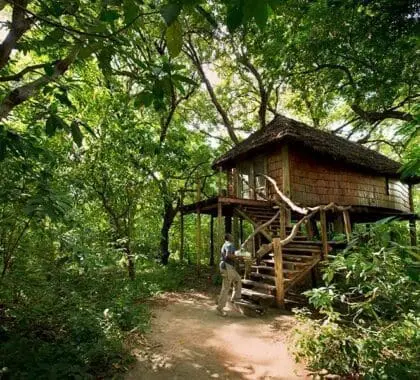 Exterior de la suite Treehouse en el Lake Manyara Lodge.