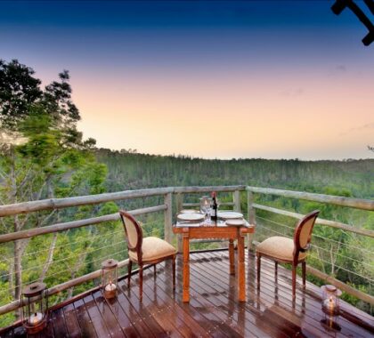 Enjoy  a glass of wine while overlooking the indigenous forest.
