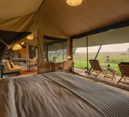 Cosy tent interior.