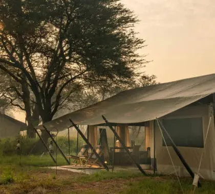 ubuntu-migration-camp-tent-exteriors-banner