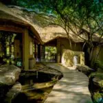 The lodge has only 11 rooms, promising privacy and uninterrupted views of the beautiful African savannah.
