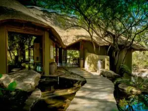 The lodge has only 11 rooms, promising privacy and uninterrupted views of the beautiful African savannah.
