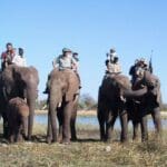 Child-friendly elephant-back safaris are just part of experience at Victoria Falls, Africa's 'Adventure Capital'.