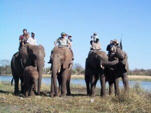 Child-friendly elephant-back safaris are just part of experience at Victoria Falls, Africa's 'Adventure Capital'.