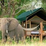 Accommodation ranges from grand hotels to bush camps - ask us for the most appropriate for your family.