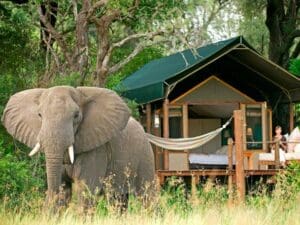Accommodation ranges from grand hotels to bush camps - ask us for the most appropriate for your family.