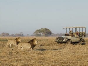 Thrilling game viewing experiences are an unforgettable adventure for the whole family.