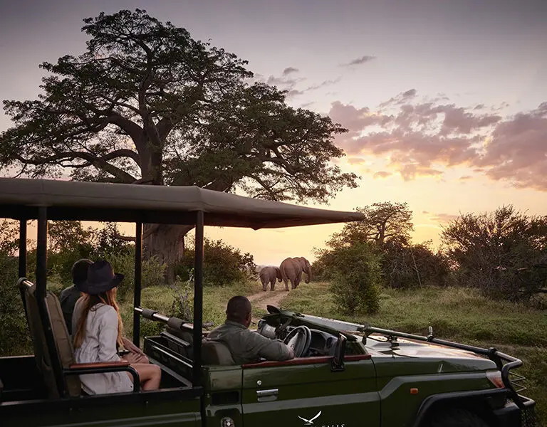 victoria-falls-river-lodge-included-activities_1