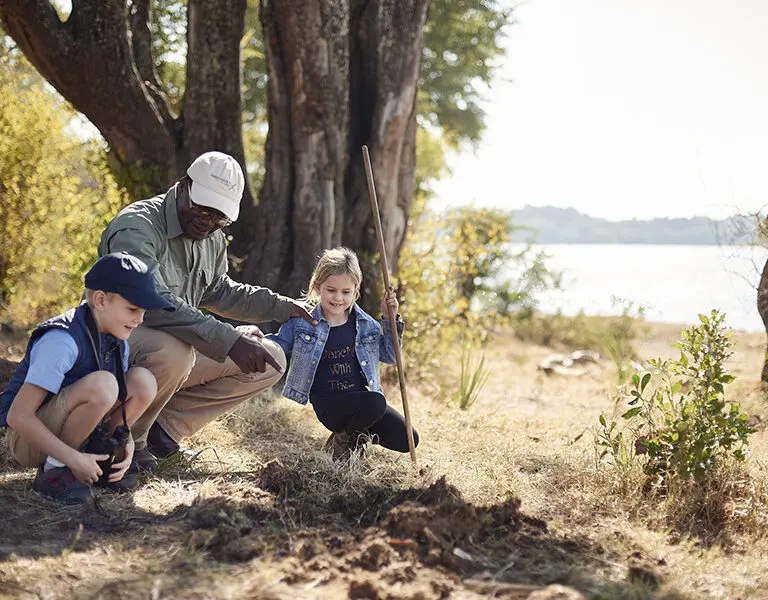 Nature walks around the lodge | Victoria Falls River Lodge