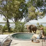 Armchair safaris at their finest | Victoria Falls River Lodge