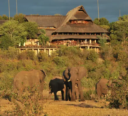 Exterior view of Victoria Falls Lodge.