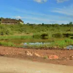 El escondite para ver de cerca la fauna salvaje