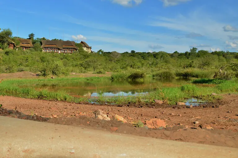 The Hide for great close up viewing of wildlife