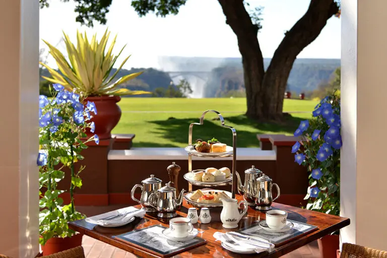 Dine on delicious cuisine.