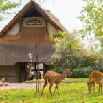 Surrounded by a private slice of wilderness.