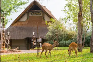 Surrounded by a private slice of wilderness.