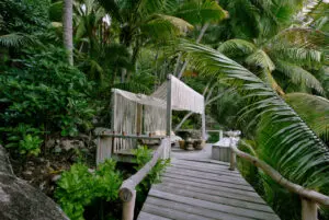 villa-north-island-garden