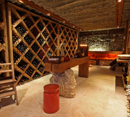 villa-north-island-wine-cellar