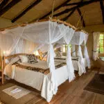 Interior del dormitorio Virunga.